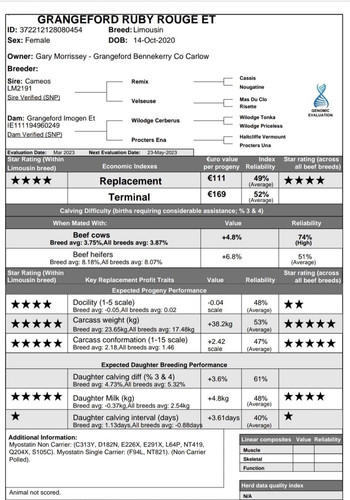 654722b9 1fc3 48d6 b100 003c11509faa (1).jpg