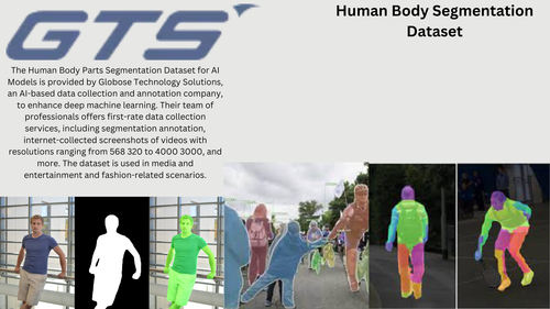 Human Body Segmentation Dataset.png