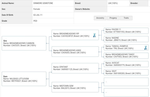 9844ed0c 6482 4ea8 bab8 7e344b42fdb4.jpg