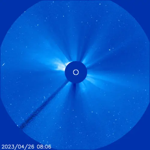 cme canibal soho.webp