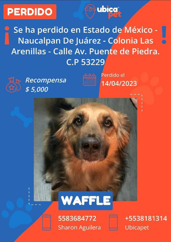 FuLbJ 6aQAAGp1d?format=jpg.jpg