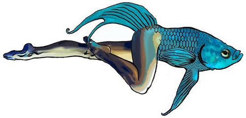 324BD434 E59A 495E 88FD 8B47043CE4BE.jpg