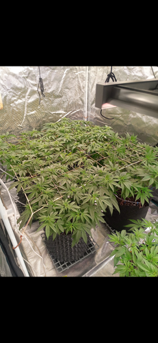 Screenshot 20230422 002249.png