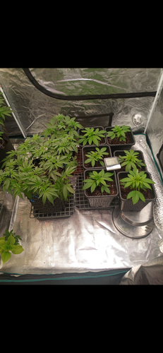 Screenshot 20230422 002242.png