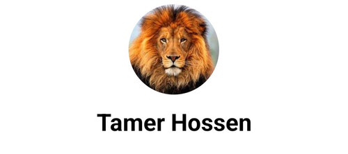 Screenshot ٢٠٢٣٠٣٣٠ ٢٠١٨٢٣ Messenger Lite.jpg