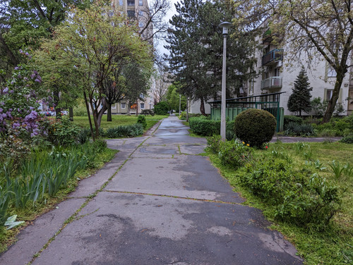 PXL 20230424 173042276.jpg