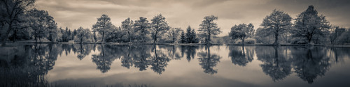panorama 1249998.jpg