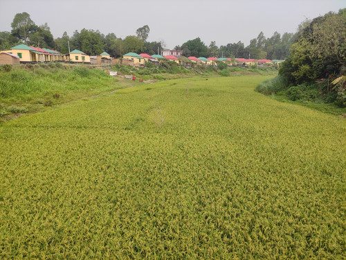 IMG 20230421 093049.jpg