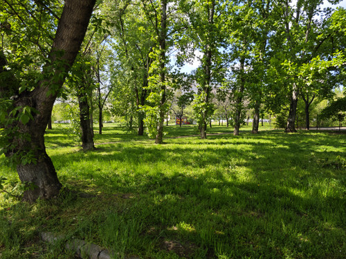 IMG 20230423 142143.jpg