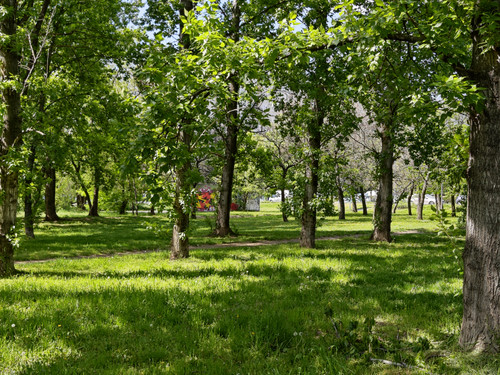 IMG 20230423 141234.jpg