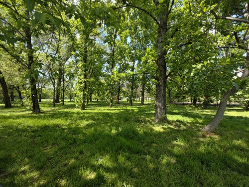 IMG 20230423 141219.jpg