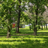 IMG 20230423 141242