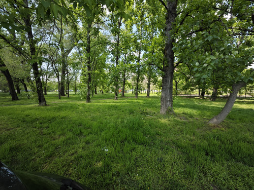 IMG 20230423 141256.jpg
