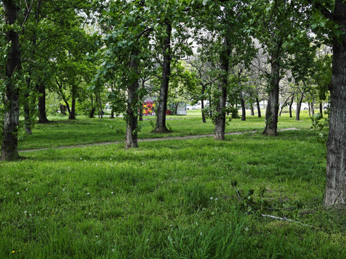 IMG 20230423 141308.jpg