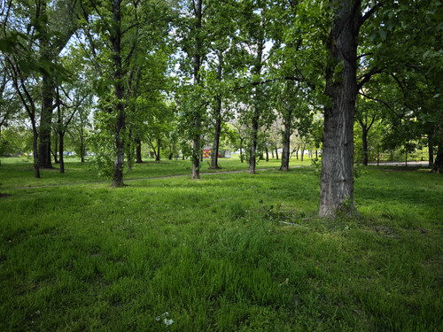 IMG 20230423 141302.jpg