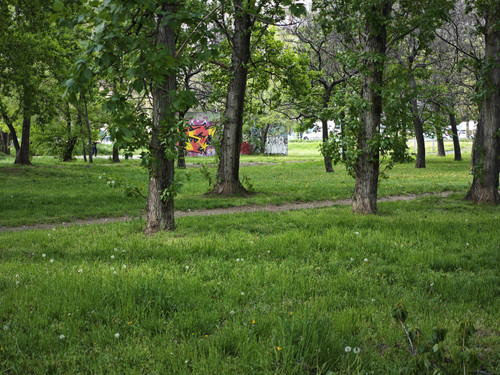 IMG 20230423 141314.jpg