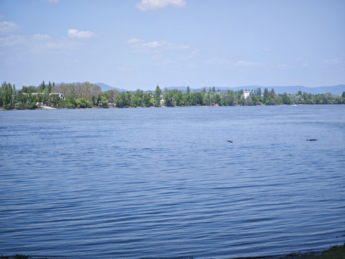 IMG 20230423 122305.jpg