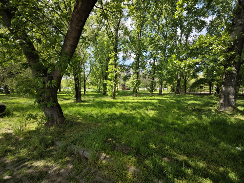 IMG 20230423 142039.jpg