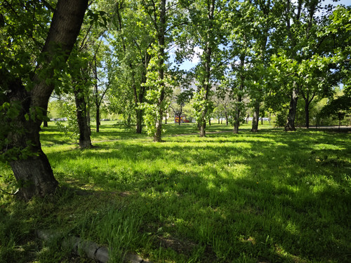 IMG 20230423 142108.jpg