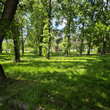 IMG 20230423 142108