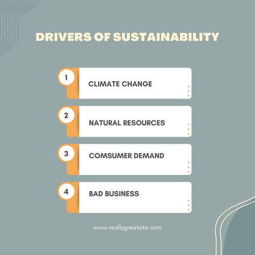 drivers of sustainability.png