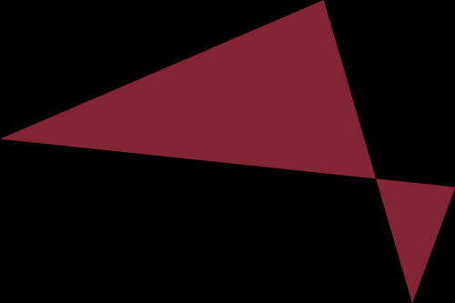 anonymous logo.png