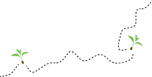 Seed Trail (2).png
