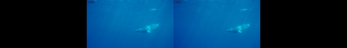 IMAX.Under.The.Sea.3D.2009.1080p.BluRay.Full SBS.DTS.x264 TruHD.mkv 20230426 121226.752.png