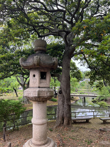 1682215537 847033335.jpg