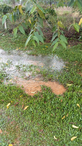 WhatsApp Image 2023 04 23 at 8.41.15 AM.jpg