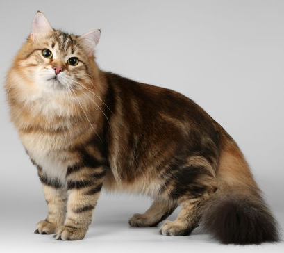 Screenshot 2023 04 22 4.59.16 PM.png