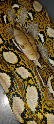 342914318 1676610846085630 2927451344930374312 n.jpg