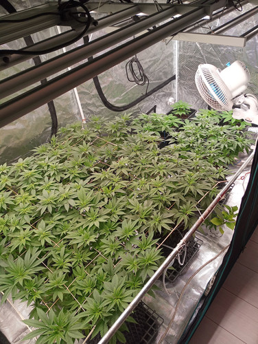 IMG 20230423 042804 662.jpg