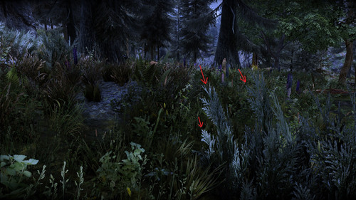 Bush appear.jpg