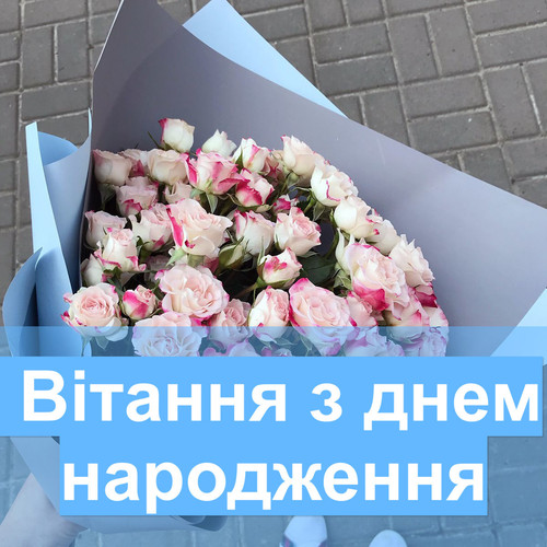 pic.jpg