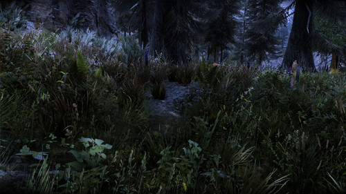 Bush disappears.jpg