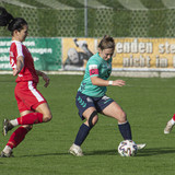 steyr antiesenhofen 3 0 23 10 2022 12
