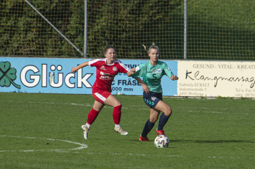 steyr antiesenhofen 3 0 23 10 2022 11