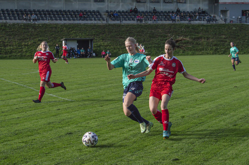 steyr antiesenhofen 3 0 23 10 2022 16