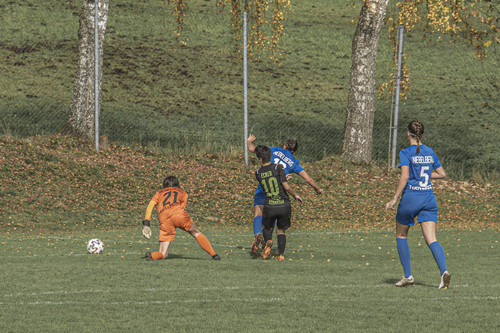 nebelberg kematen 1 4 29 10 2022 30.jpg