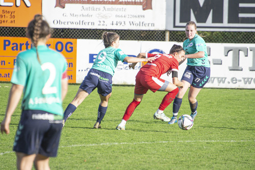 steyr antiesenhofen 3 0 23 10 2022 31