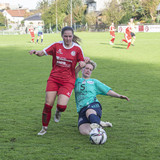 steyr antiesenhofen 3 0 23 10 2022 29