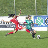 steyr antiesenhofen 3 0 23 10 2022 23