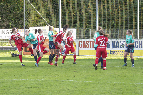 steyr antiesenhofen 3 0 23 10 2022 57