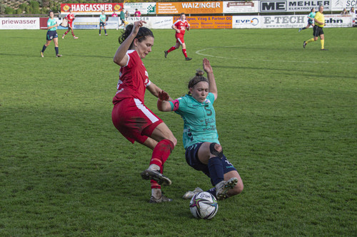 steyr antiesenhofen 3 0 23 10 2022 46
