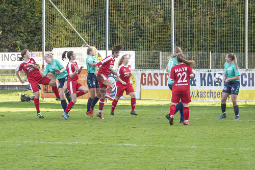 steyr antiesenhofen 3 0 23 10 2022 58