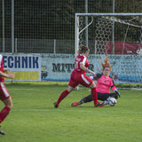 steyr antiesenhofen 3 0 23 10 2022 41