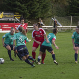 steyr antiesenhofen 3 0 23 10 2022 48