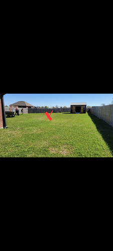 Screenshot 20230422 001013 Gallery.jpg