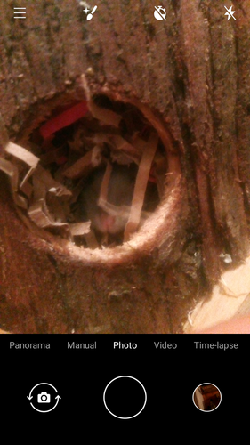 Screenshot 20230422 113314.png